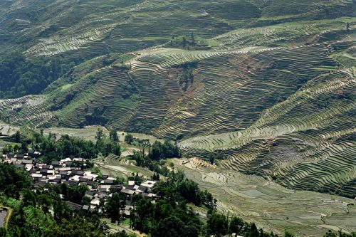 39-20050513-30A-riziere-tirage-OK-A2-copie