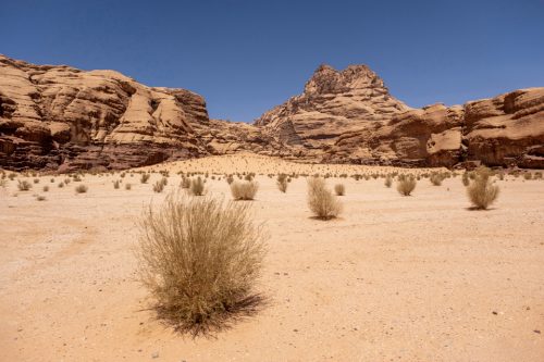 54-wadi-rum-5842-ok-copie