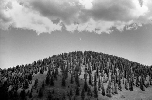 09-1997-07-01 24-turini-ok-copie