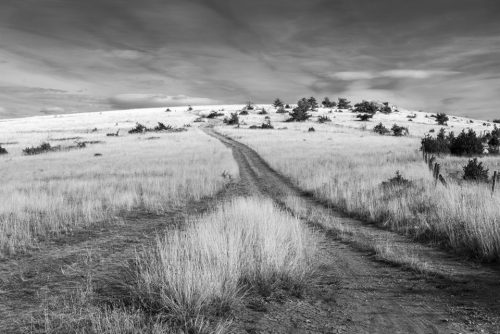 10-causse-7131-ok-copie