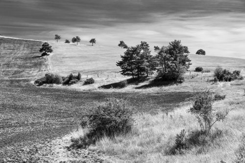 11-causse-7118-ok-copie