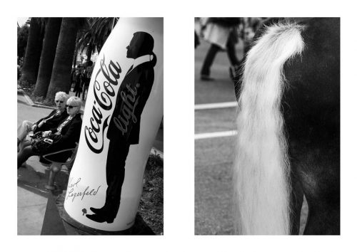 UL-NB-16-queue-de-cheval