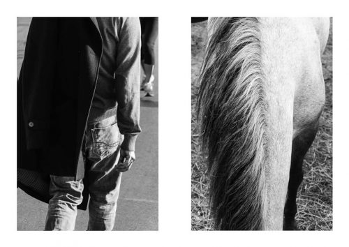 UL-NB-17-veste-et-criniere